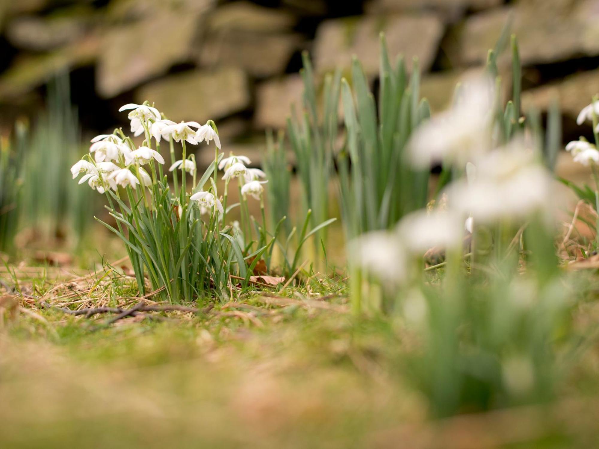 Yha Buttermere Εξωτερικό φωτογραφία